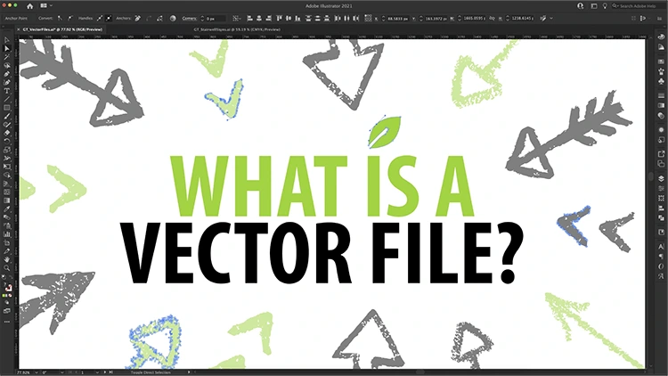 What is a Vector File?