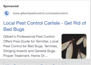 Social Media Ads