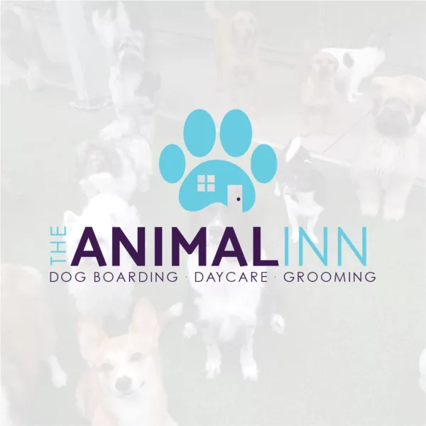 Animal Inn Logo