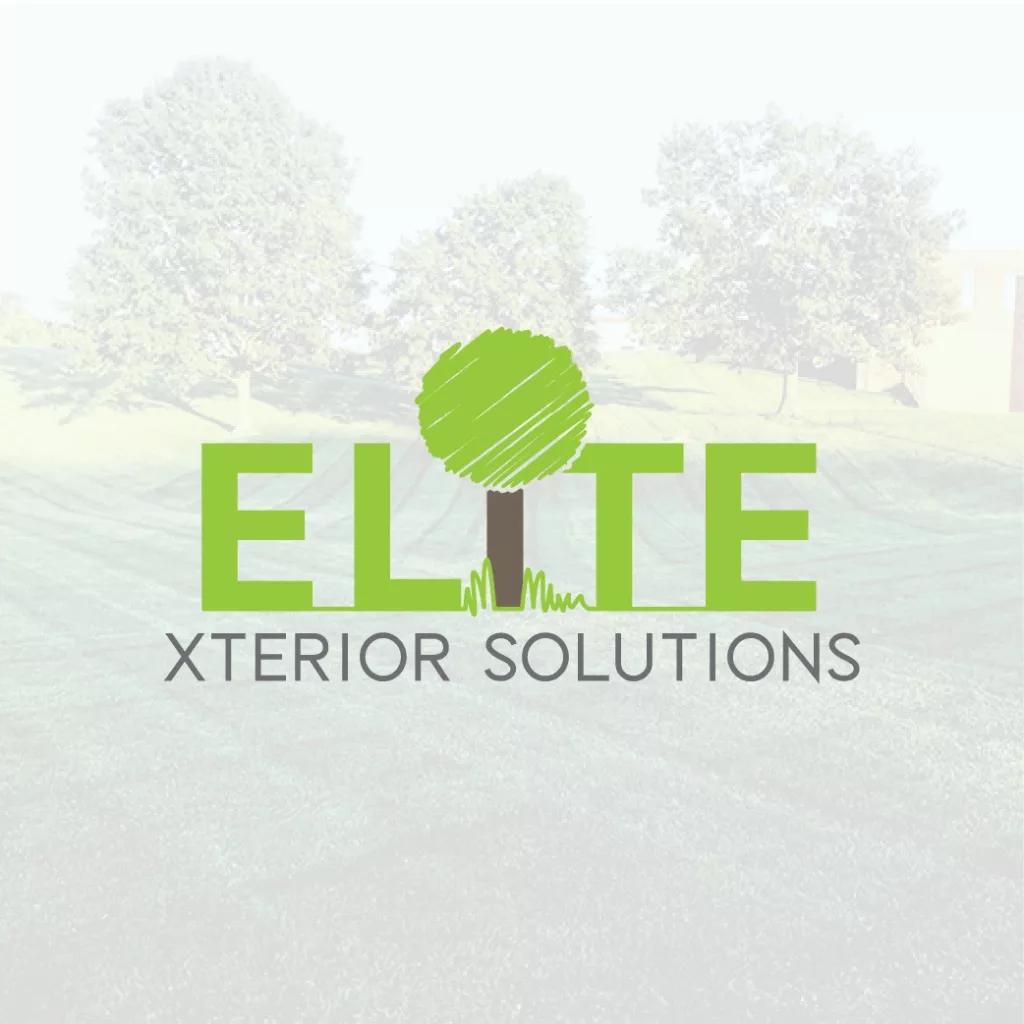 Elite Xterior Solutions Logo