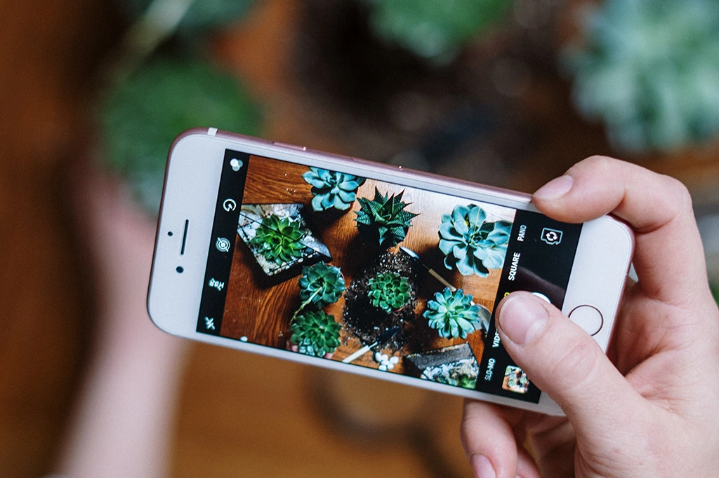 6 Photography Tips for Great Social Media Posts